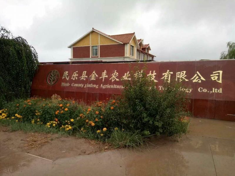 优质        创新        健康        时尚