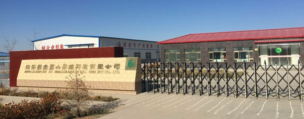 优质   创新   健康   时尚