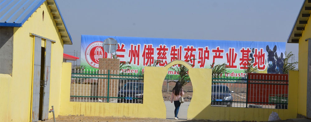 优质   创新   健康   时尚