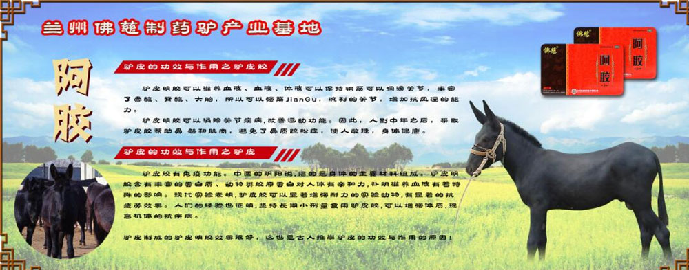 优质   创新   健康   时尚